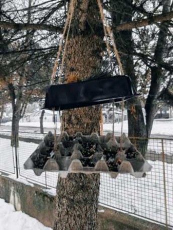 85caa3ea-84a3-45b2-8e1a-8b27ceb50318