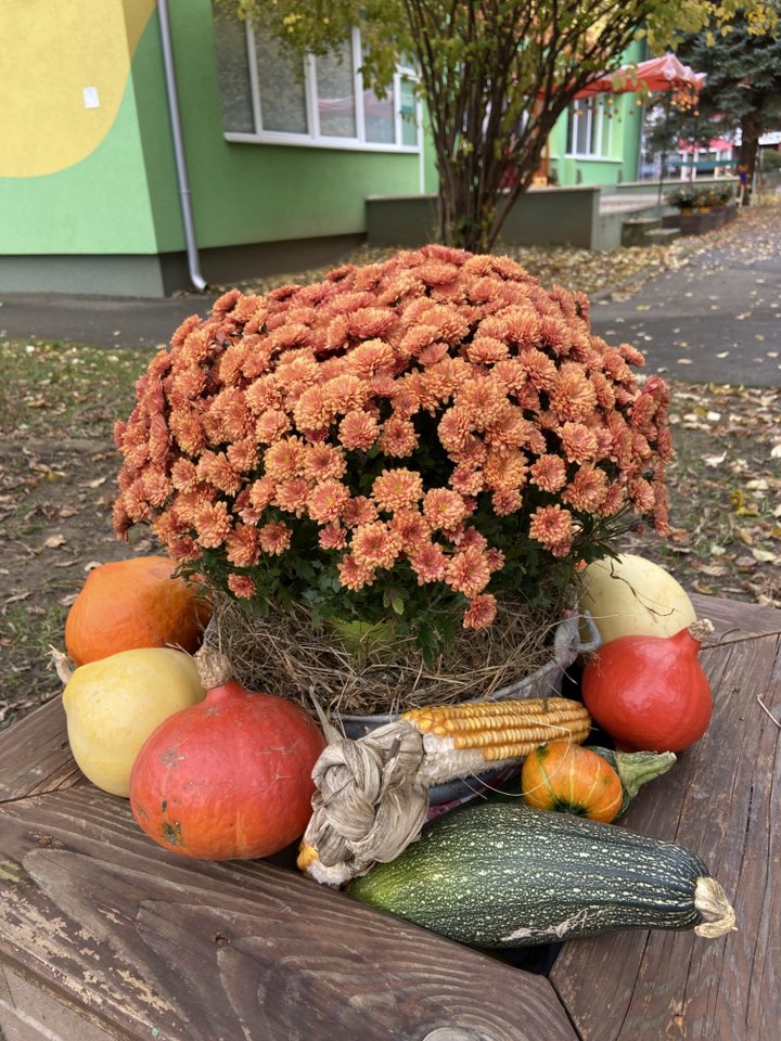 572772550_1257924222807028_5696355463044436336_n