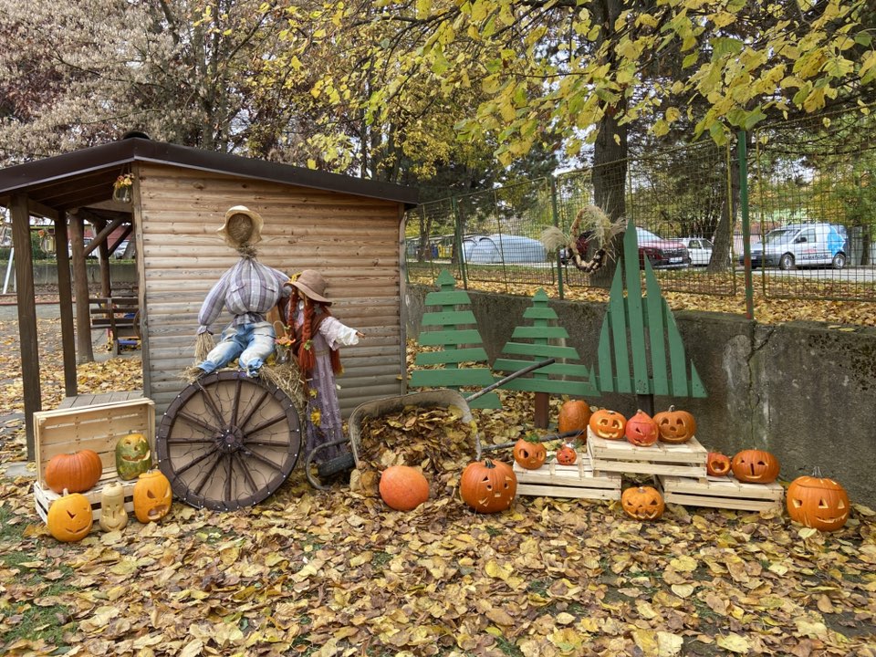 572781861_1257923922807058_6006729166986315261_n