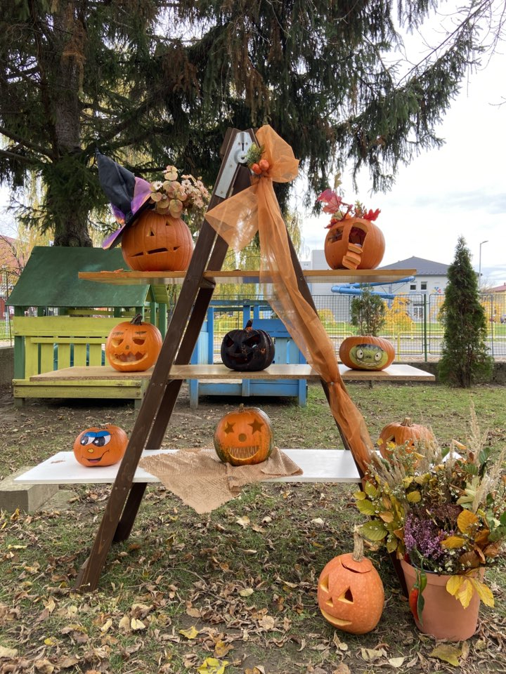 572831634_1257923766140407_125419316969977460_n