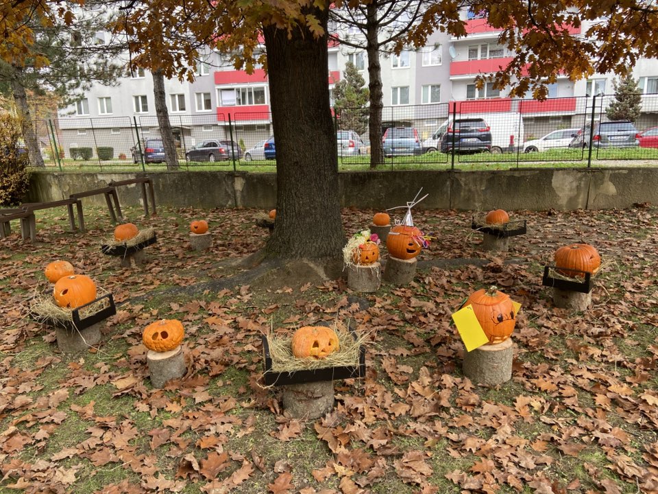 572967999_1257924542806996_3203813225029755745_n