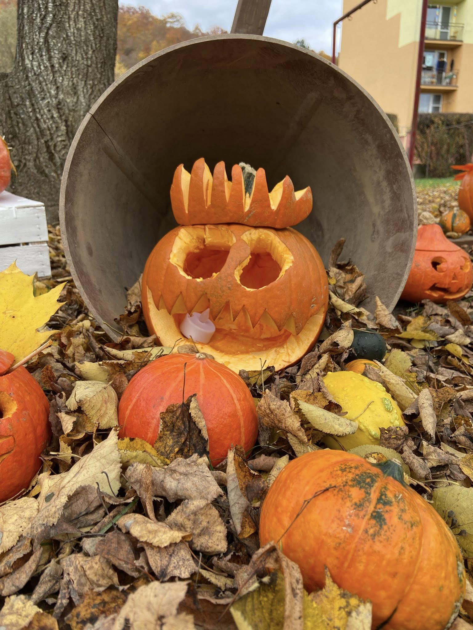 573315478_1257929256139858_5516471166955567466_n