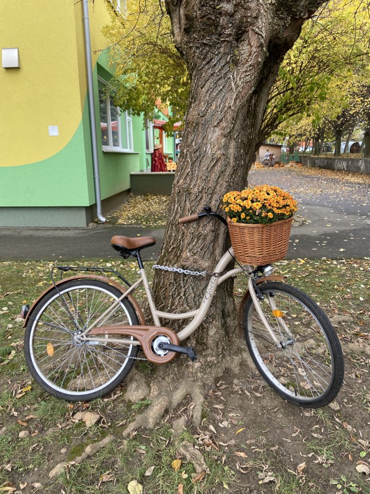 573434265_1257927252806725_2053782768724716731_n