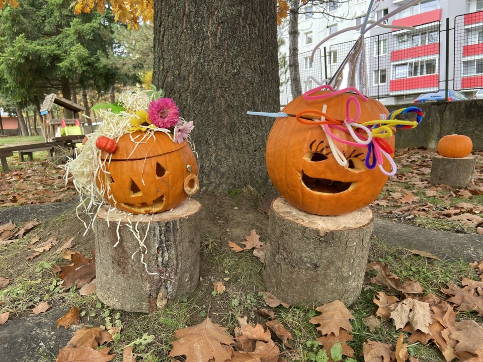 573554138_1257924202807030_7087867178962260592_n