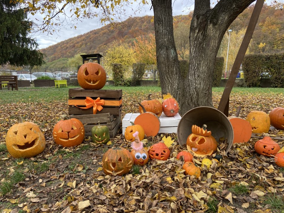 574611078_1257923976140386_7319987113703737639_n